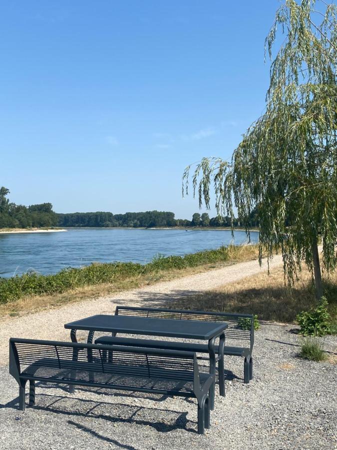 Ferienhaus Hoffmann Am Rheinbogen Altlussheim Exterior foto
